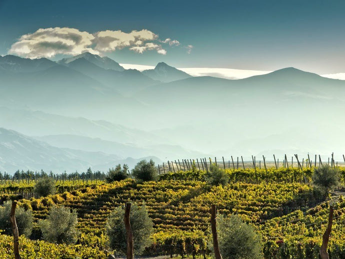 Magical Mendoza - The Land of Sunshine and Wine